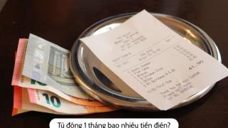 Tủ đông có tốn điện không? Tủ đông 1 tháng bao nhiêu tiền điện?