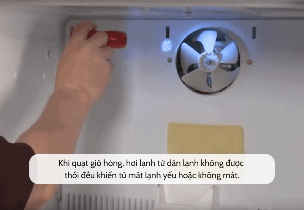 quat-gio-hong