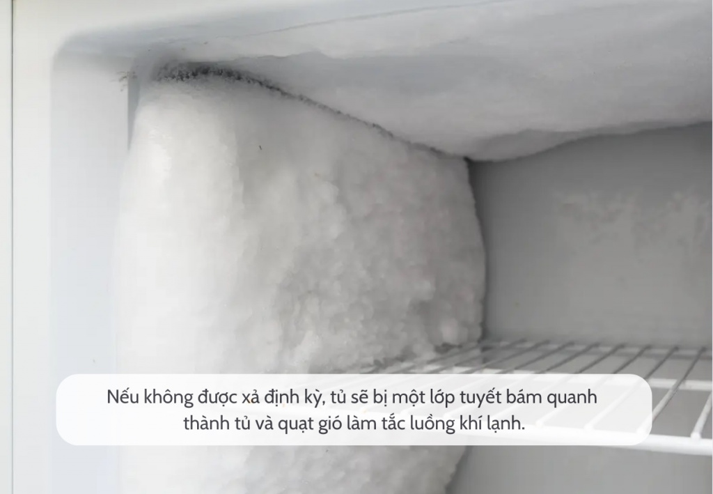 xa-dinh-ky.jpg