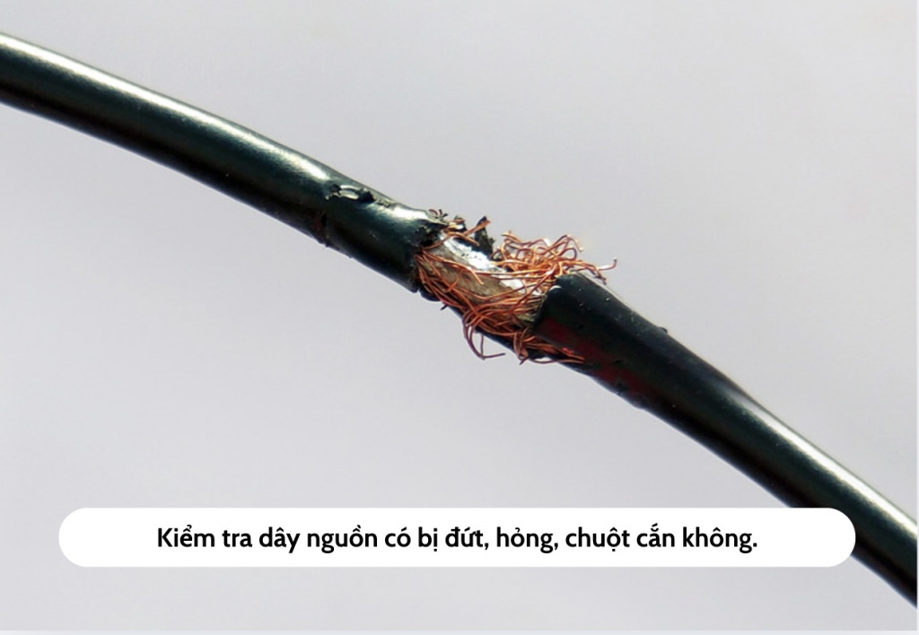 kiem-tra-day-nguon.jpg