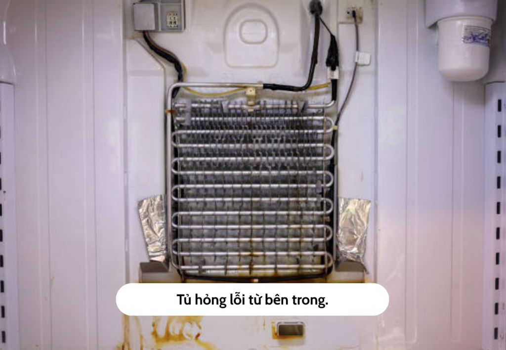 tu-hong-loi-tu-ben-trong