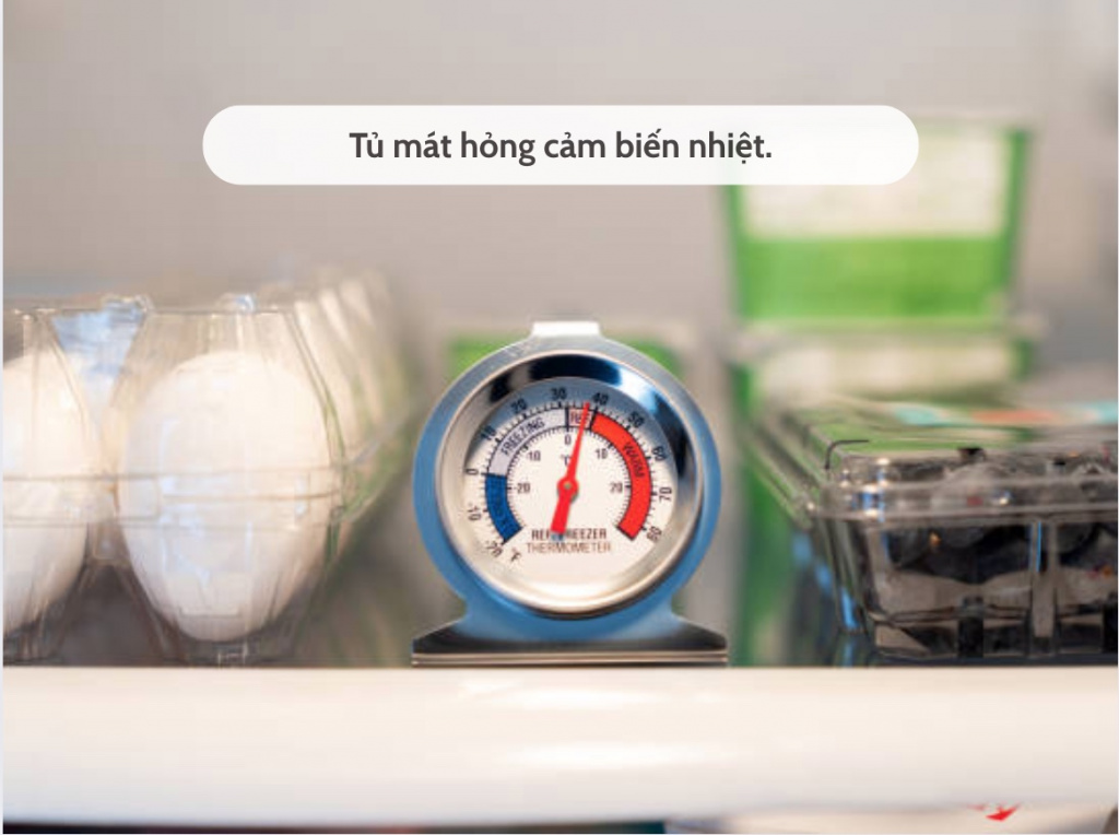 tu-mat-hong-cam-bien-nhiet.jpg (159 KB)