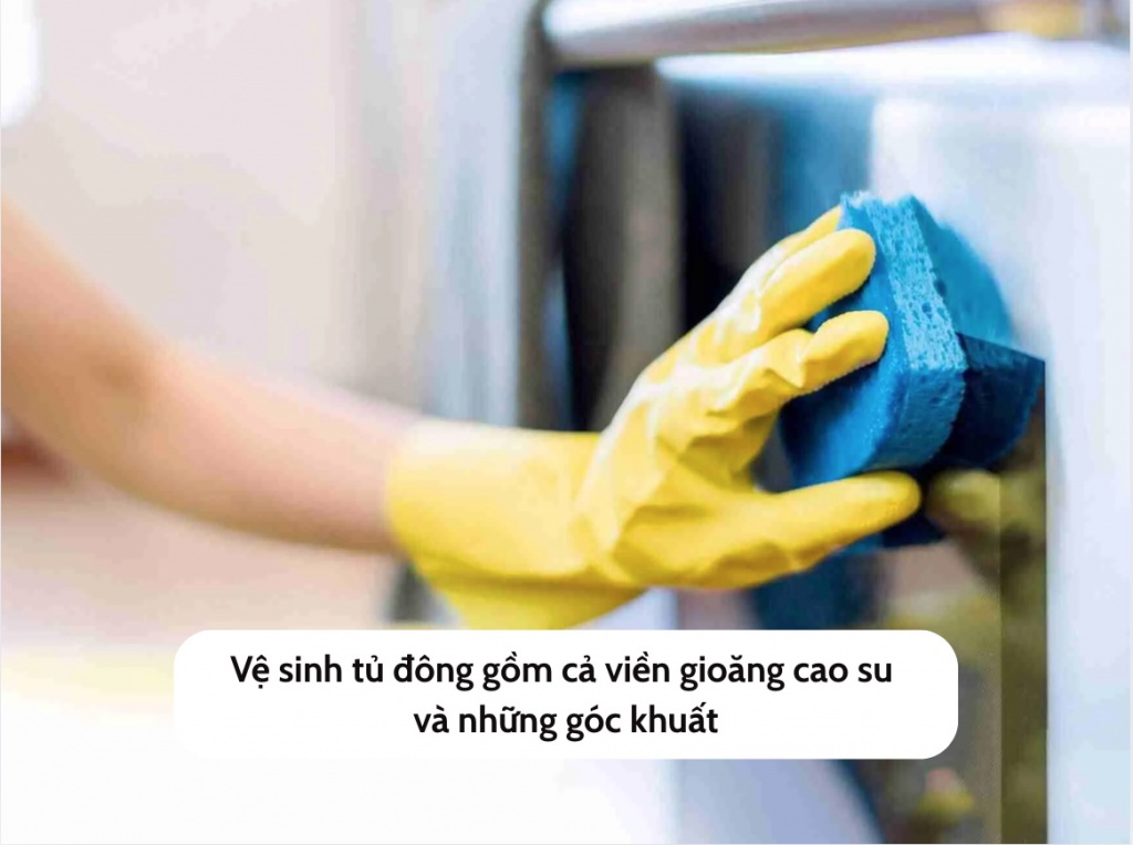 ve-sinh-tu-dong-gom-ca-vien-gioang-cao-su.jpg (165 KB)