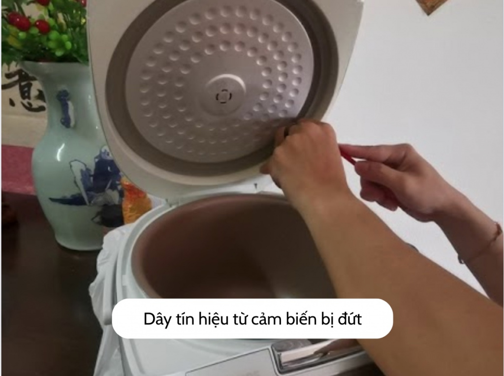 day-tin-hieu-tu-cam-bien-bi-dut.jpg (148 KB)