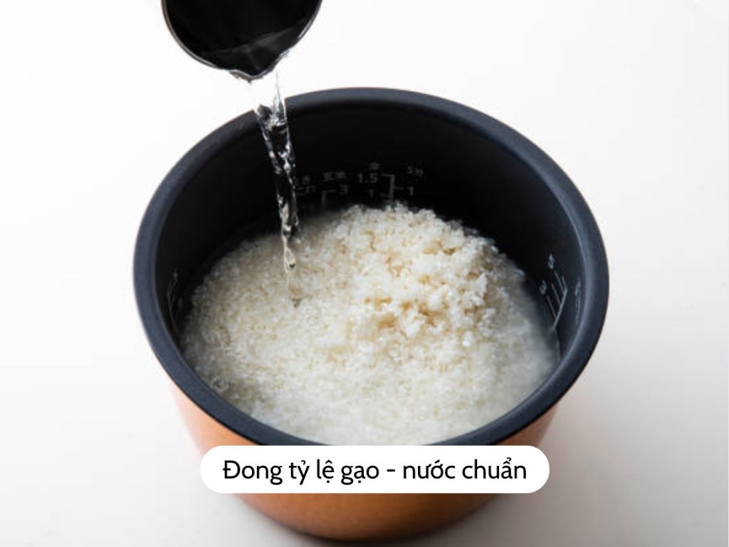 Đong tỷ lệ gạo - nước chuẩn