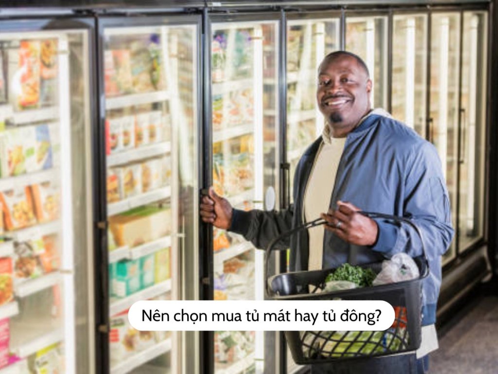 Nên chọn mua tủ mát hay tủ đông?