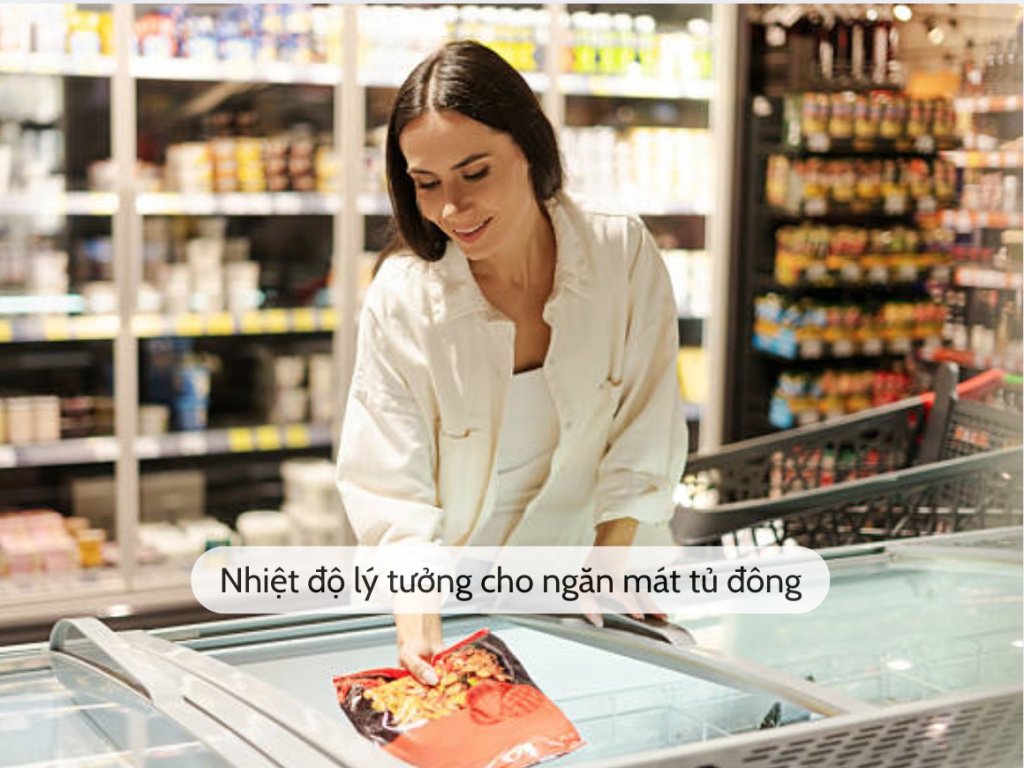 nhiet-do-tu-dong-ly-tuong.jpg (261 KB)