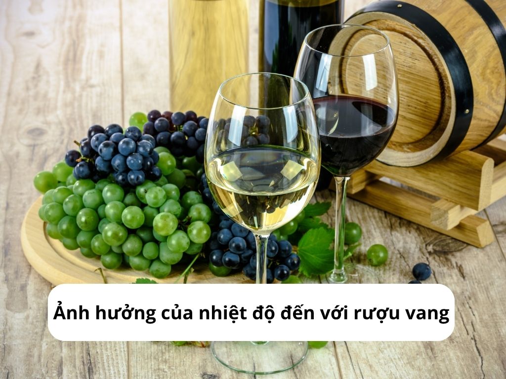 Nhiệt độ không tốt sẽ khiến rượu không ngon