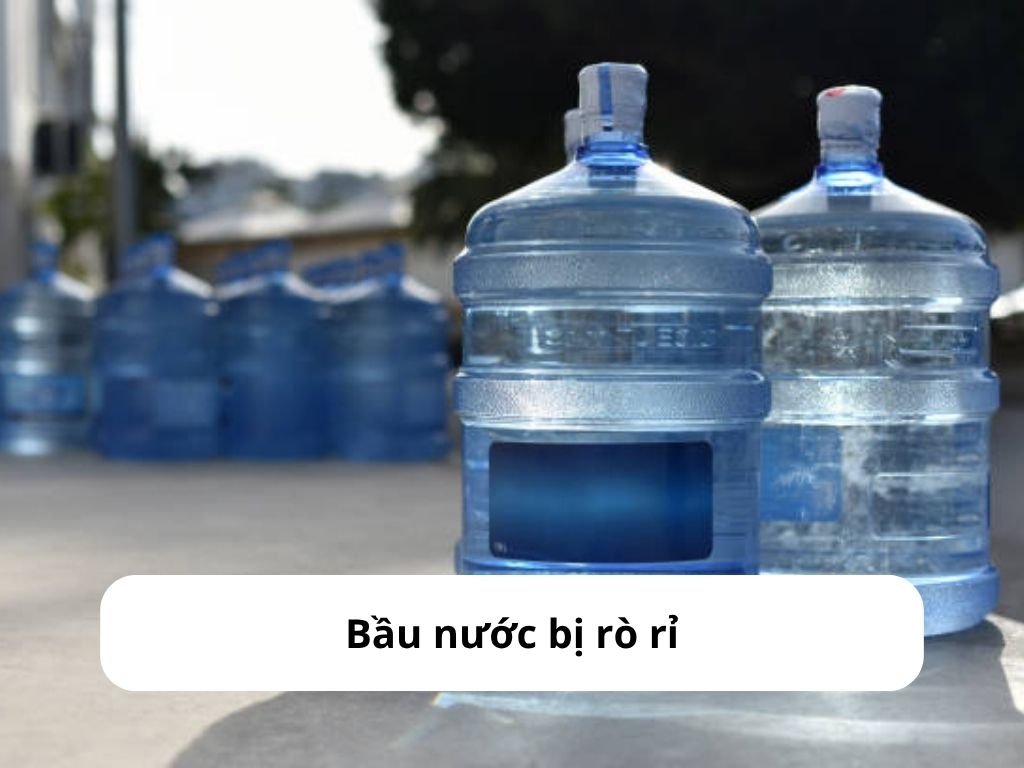 Bầu nước bị rò rỉ