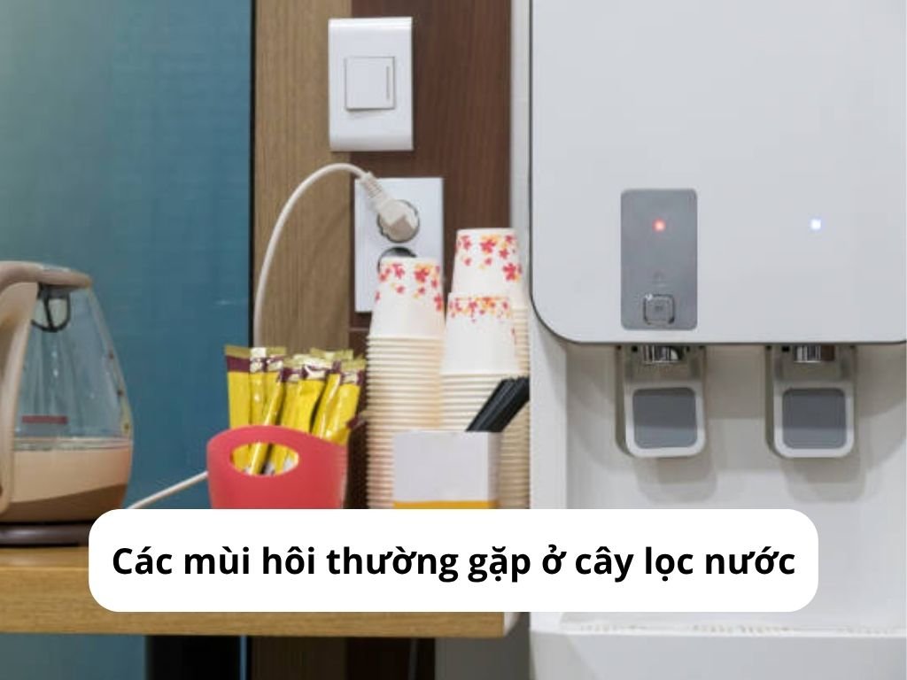 Các mùi hôi thường gặp ở cây lọc nước